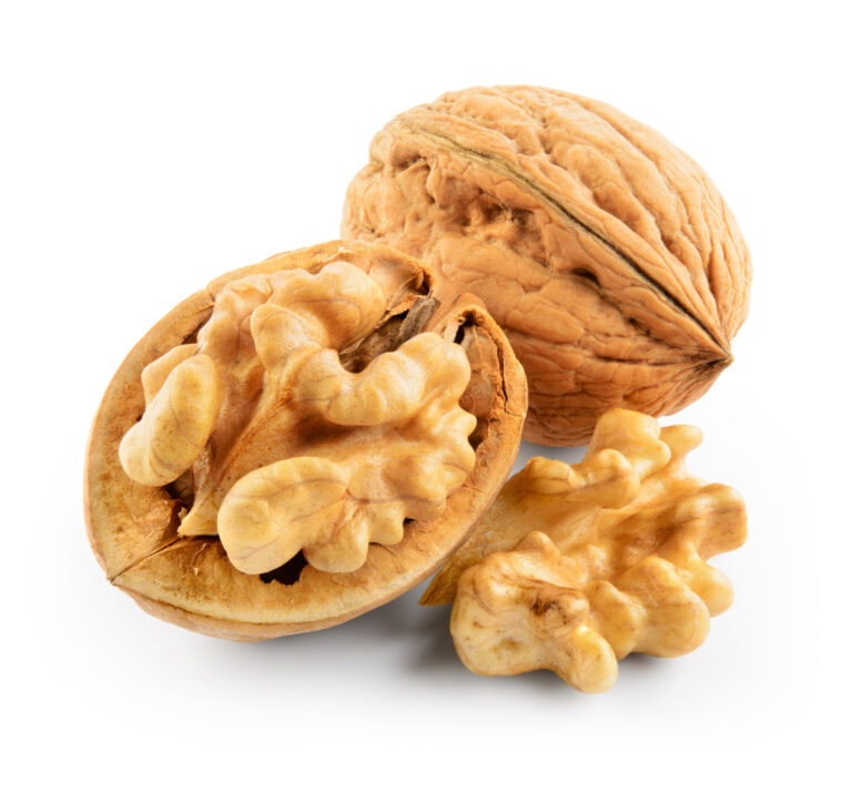 Vlašský ořech se zdá být typickou ukázkou ořechu. Ale zdání klame, není tomu tak!