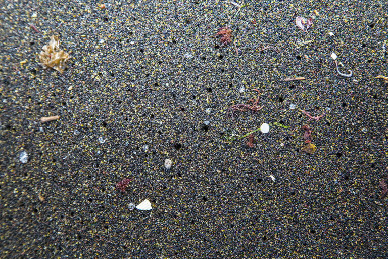 Sedimenty na dně oceánů ukazují, že míra usazování mikroplastů se zdvojnásobuje přibližně každých 15 let. Foto: Race4Water / Creative Commons / CC-BY-SA-4.0