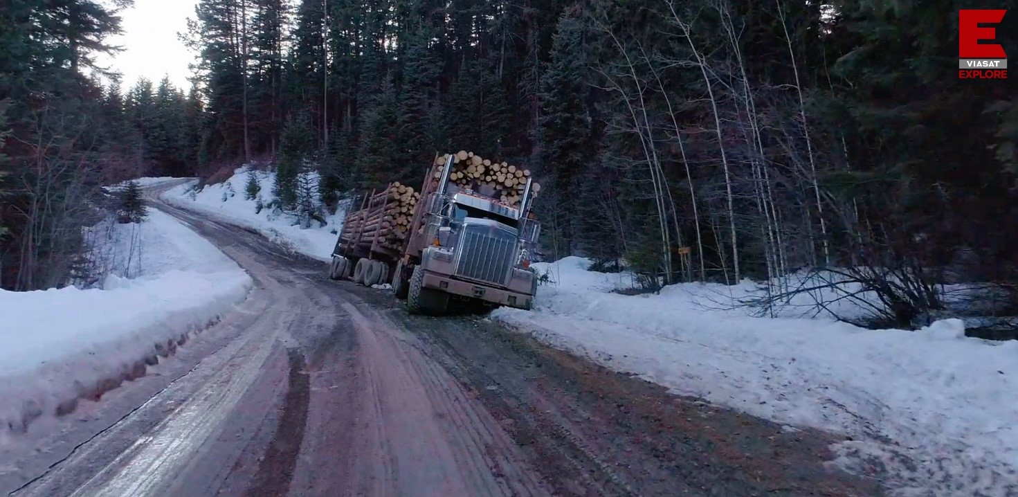Jak se v Kanadě těží dřevo
