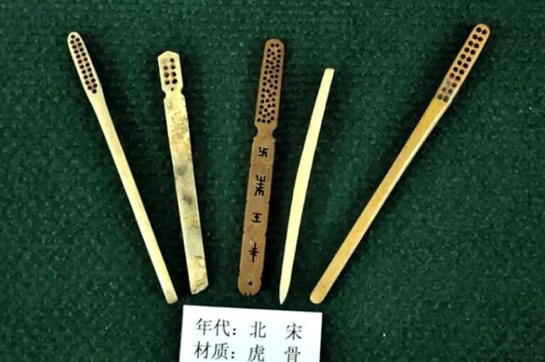 Čínské zubní kartáčky vyrobené z tygřích kostí v době dynatie Sung (960–1279).