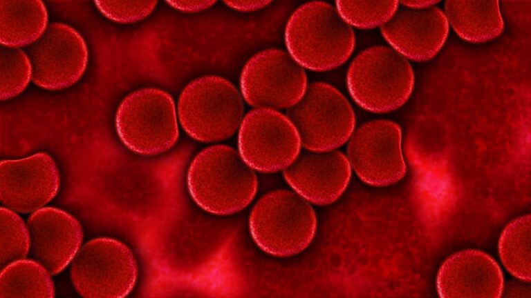 Centra Sanaplasma brzy přejdou pod novou, jednotnou značkou BioLife. Foto: Pixabay