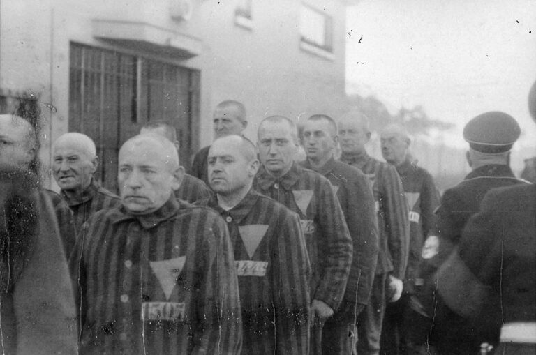 Nejvíce homosexuálů nacisté uvězní v Sachsenhausenu, roku 1942 všechny popraví.