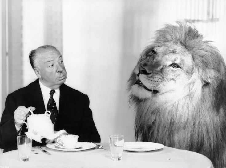 Lví maskoti jsou stejné celebrity, jako herci a režiséři, se lvem Jackiem si zapózuje i Alfréd Hitchcock.