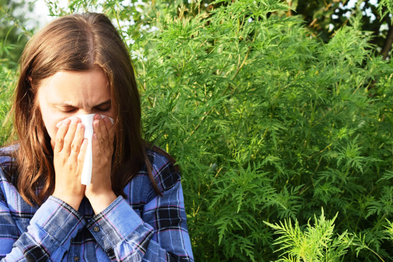 Tři ze čtyř lidí, kterým dělají potíže jarní pyly, mají alergii i na ambrózii.
