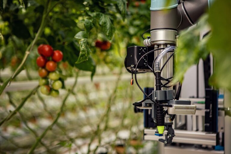 „Rajčatový“ robot je pečlivý jako nejlepší zahradník