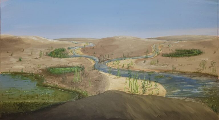 Umělecké znázornění krajiny před 400 miliony let, v době kdy rostliny začaly diverzifikovat uspořádání svých vodivých pletiv, zvyšovat svůj celkový vzrůst a šířit se krajinou od zdrojů vody. Zdroj: Julian Kiely