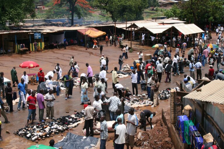 Neznámá šelma zaútočila v noci na tržišti Bwandilo.