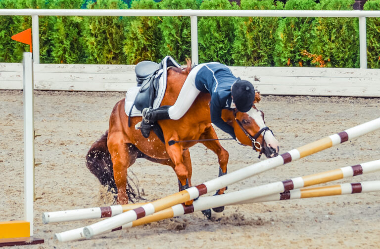 Parkur není jen obyčejné ježdění na koni, stojí za ním precizní práce a striktní trénink.