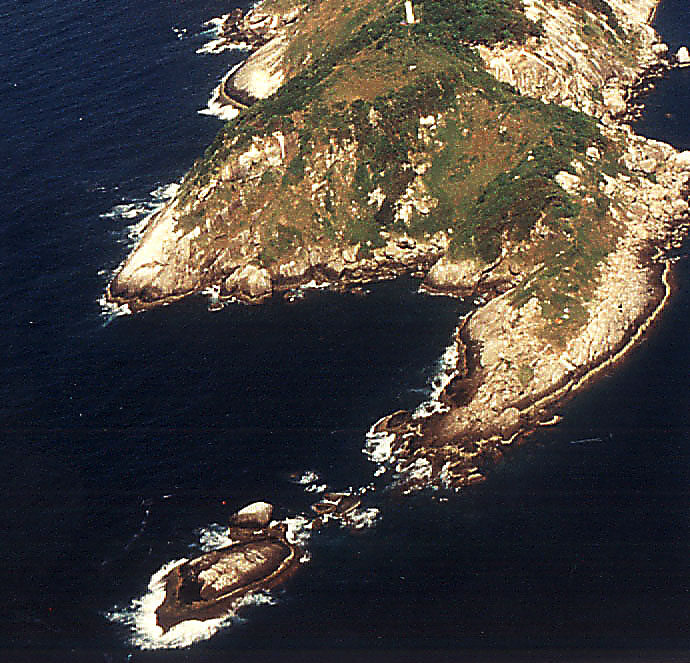 Ostrov Ilha da Queimada Grande je jediným místem, kde se vyskytuje nazlátlý had křovinář ostrovní.