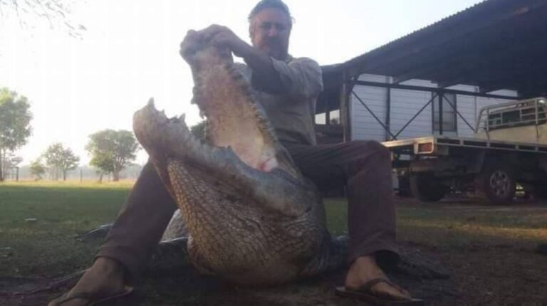 Australský lovec krokodýlů Roger Matthews.