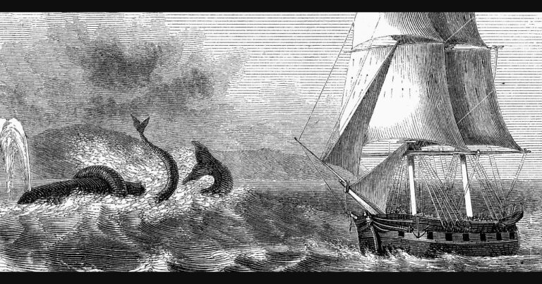 Napadla Drevarovu obchodní loď obrovská mořská obluda z dávných časů?