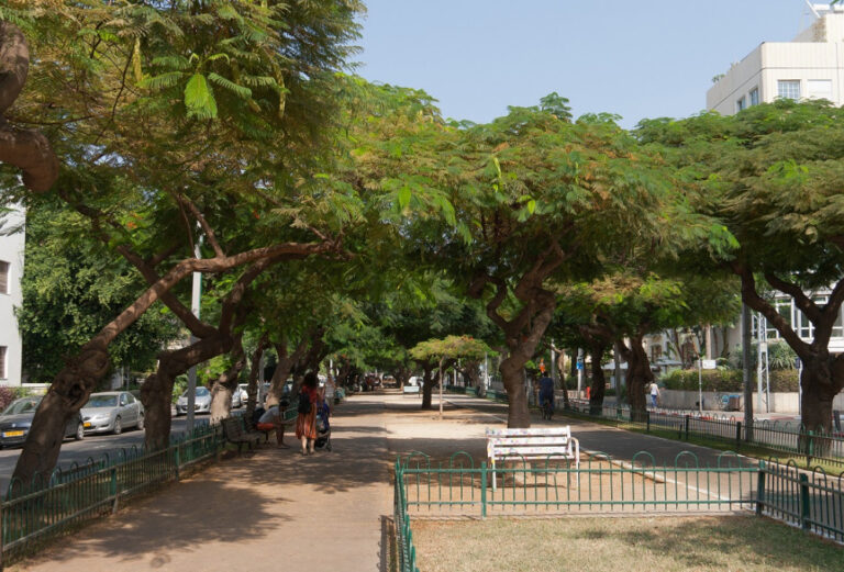 Rothschildův bulvár patří k nejvýstavnějším ulicím Tel Avivu.