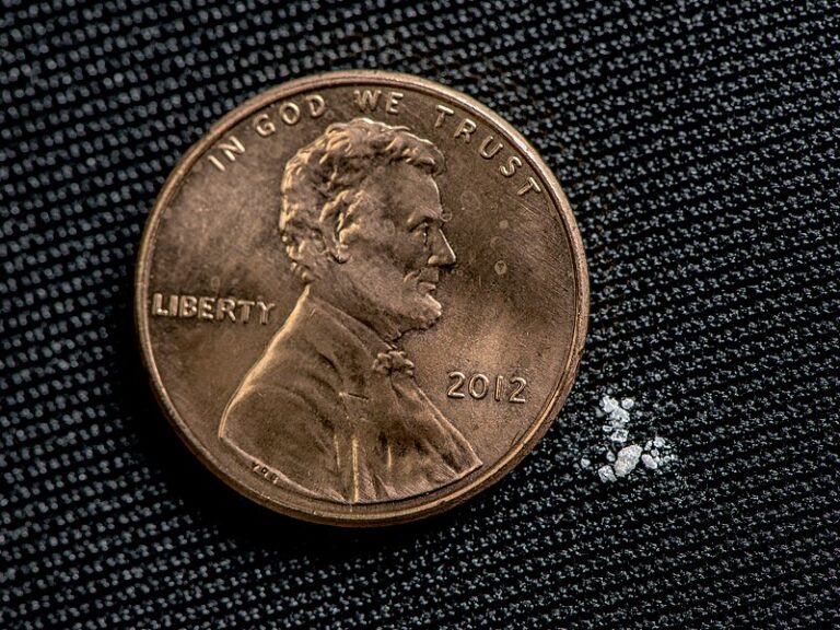 Dva miligramy fentanylu (bílý prášek napravo) je pro většinu lidí smrtící dávkou. FOTO: United States Drug Enforcement Administration / Creative Commons / volné dílo