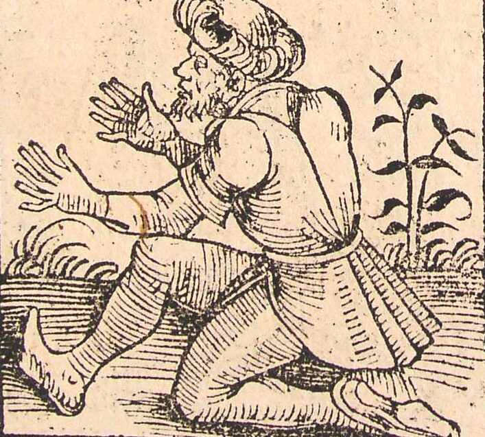 O tom, že šestiprstí lidé nejsou mutací moderní doby, dokazuje obrázek z roku 1493.