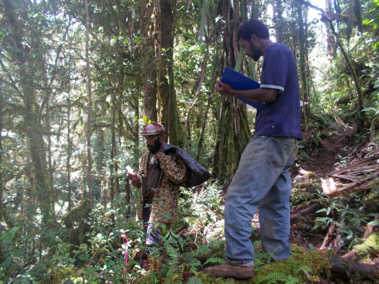 První autor studie a vedoucí papuánské expedice, Jimmy Moses (vpravo) spolu se svým asistentem při přípravě experimentu v horském pralese hory Mt. Wilhelm. Papua Nová Guinea. Foto: Tom Fayle