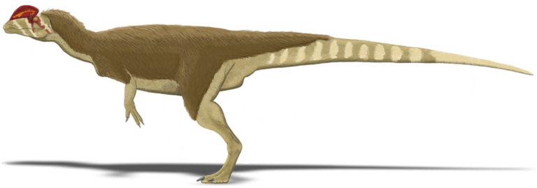 Dilophosaurus wetherilli. FOTO: Leandra Walter / Creative Commons / CC BY 2.5