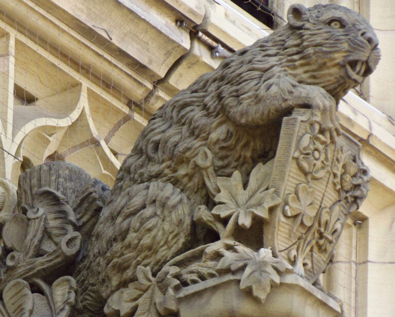 Socha bobra zdobí vchod do kanadského parlamentu. Hlodavci ovlivnili historii země.