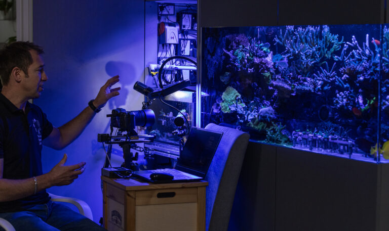Cílem projektu laboratoře Coral Spawning Lab a společnosti Canon je porozumět životním cyklům těchto organismů. Foto: Coral Spawning Lab/Canon