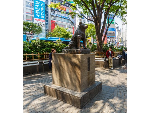 První Hačiho socha posloužila k výrobě děl, její kopie z roku 1948 stojí u nádraží dodnes.
