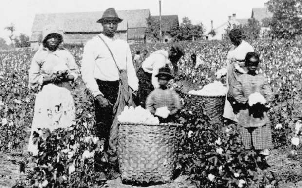 Jih USA je neodmyslitelně spojený s bavlníkovými plantážemi a vykořisťováním otroků.
