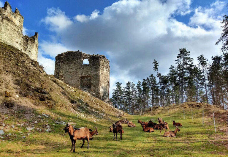 Odehrávaly se právě tady nějaké okultní nebo snad dokonce satanistické rituály. Někteří badatelé to naznačují.