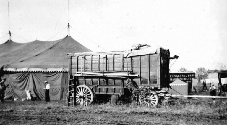Cirkus byl velkým blázincem na kolečkách.