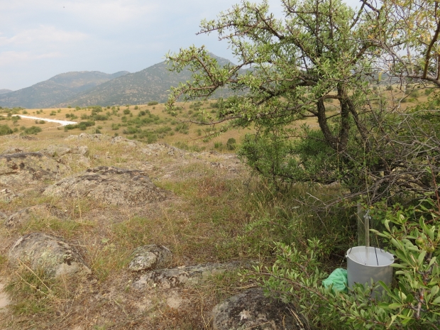 Světelný lapač v terénu – červenec 2013, Řecko