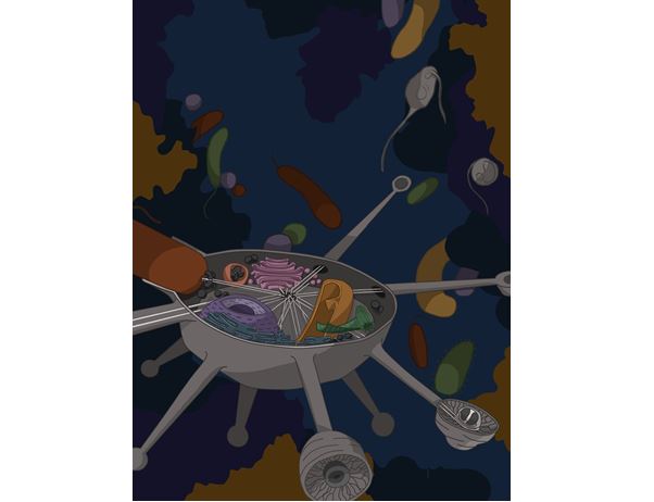 Barevná ilustrace řezu buňkou Solariona s abstrakcí okolního prostředí.