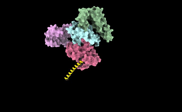 Struktura proteinu SecA ze Solarion arienae.