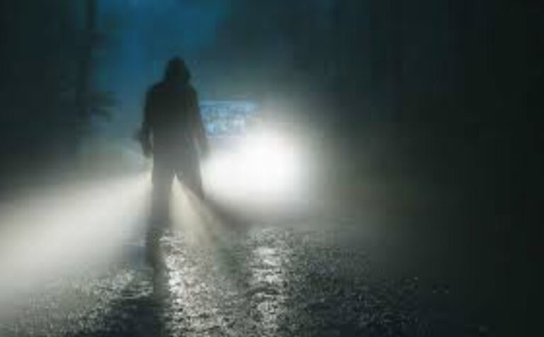 Zachraňuje řidiče před nehodou?