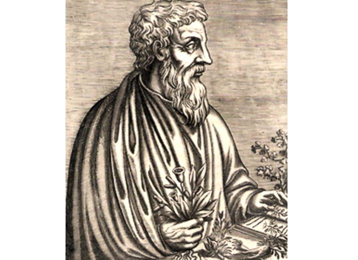 Řecký lékař Pedanius Dioscorides.