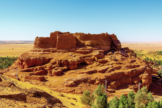 Nedaleký Ksar Timimoun je sice větší, ale klasický. Nabízí komunitní sýpku i mešitu.