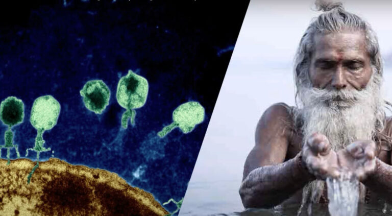 Cholerové bakterie se v řece chovají zvláštně. Jako by se Ganga před nimi sama chránila.