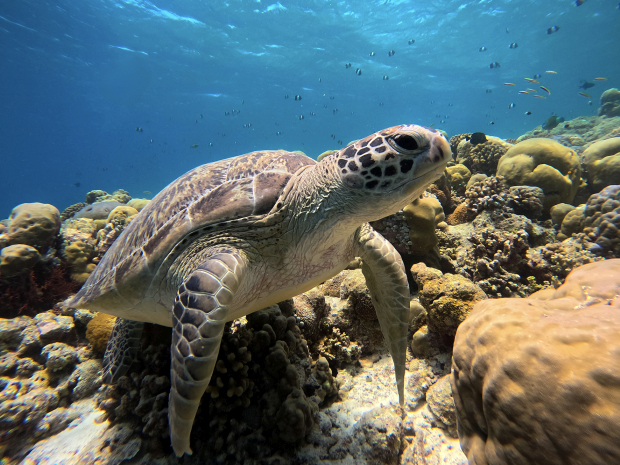 Maledivy jsou prý učiněný ráj.