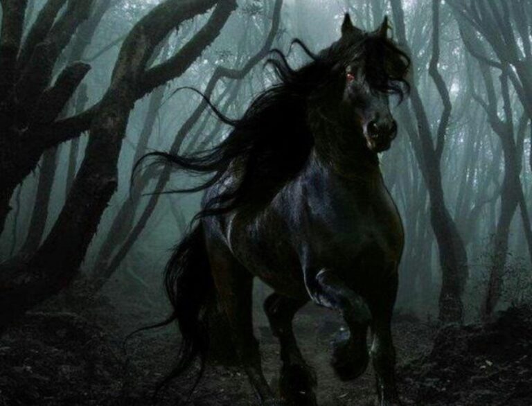 Je to snad temný přízrak z dávných časů, nebo za všechno může jen zvláštní optický klam?