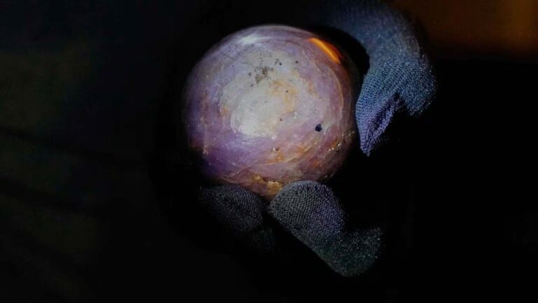 Safír pojmenovaný Hvězda čisté země má zhruba velikost lidské pěsti.