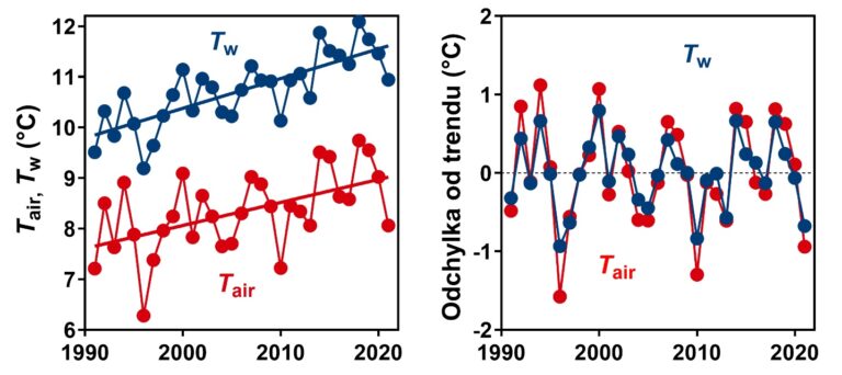 Popis grafu: Dlouhodobé trendy vývoje průměrné teploty vzduchu (červeně Tair) a teploty vody (modře Tw) v období 1991–2021. Z obou grafů je dobře patrné, že průměrná roční teplota vody se měnila v závislosti na teplotě vzduchu.