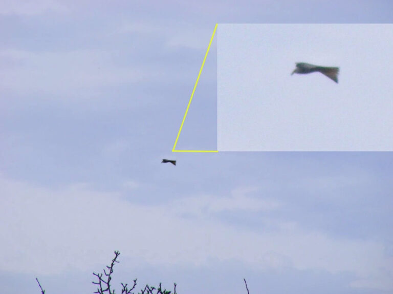 Německo hlásí rekordní počet pozorování UFO. Většinu z nich se ale podařilo objasnit.