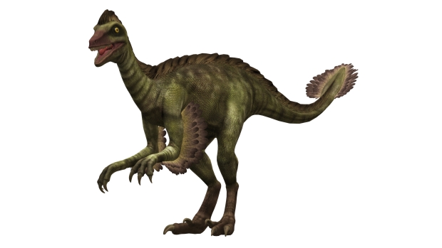 Troodon jen nejchytřejším dinosaurem. Nejspíš by mohl být předkem nové myslící rasy.