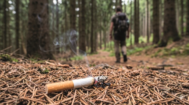 Nejčastějším původcem lesních požárů je lidská neopatrnost. Shutterstock