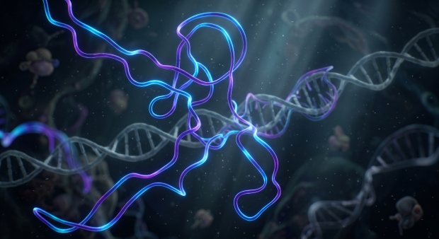 Výzkumníci z Mikrobiologického ústavu AV ČR odhalují skrytý svět dlouhých nekódujících RNA.