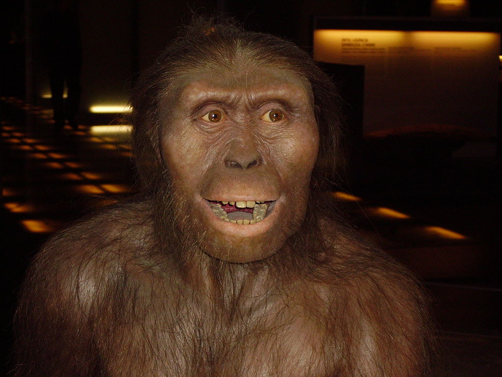 Obr. 4 – Australopithecus