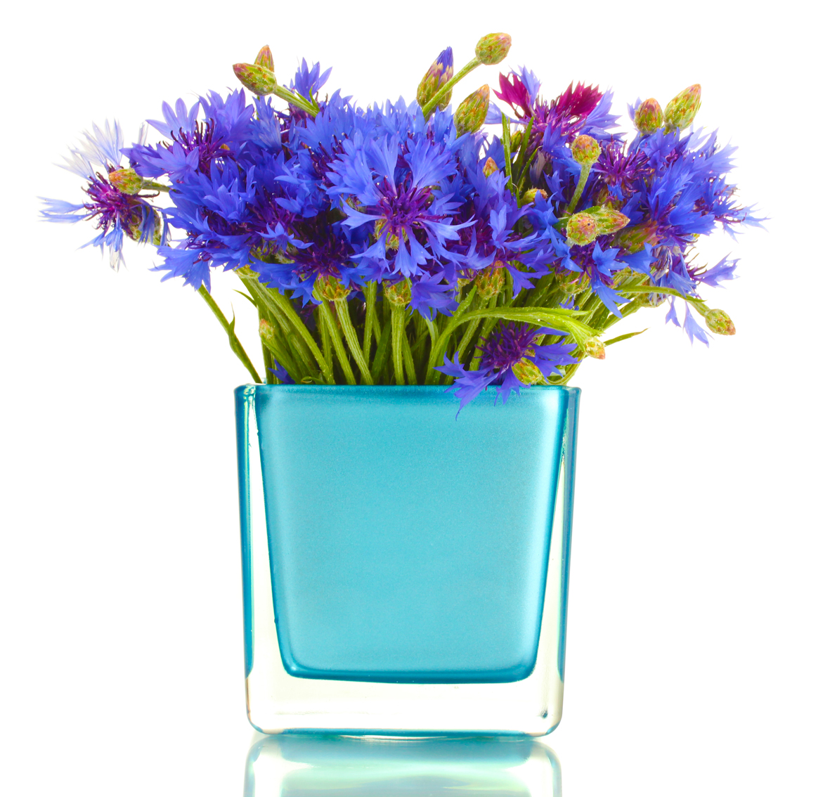 Koupit si můžete i jednobarevnou vázu výrazného odstínu, pokud budete myslet na to, jaké barvy jsou vaše oblíbené květiny, aby výsledek lahodil oku.